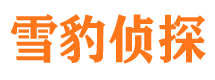 铁山港侦探公司